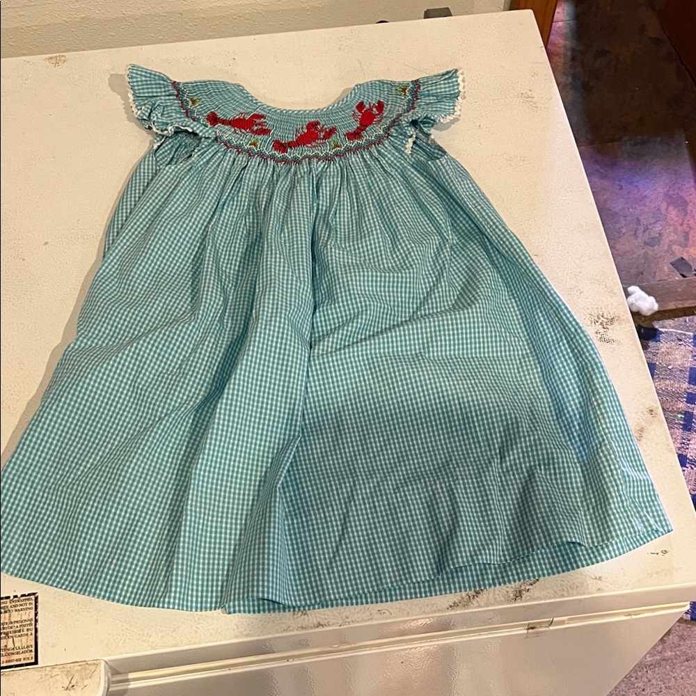Blue Gingham Kids Casual Dress with Red Embroidery